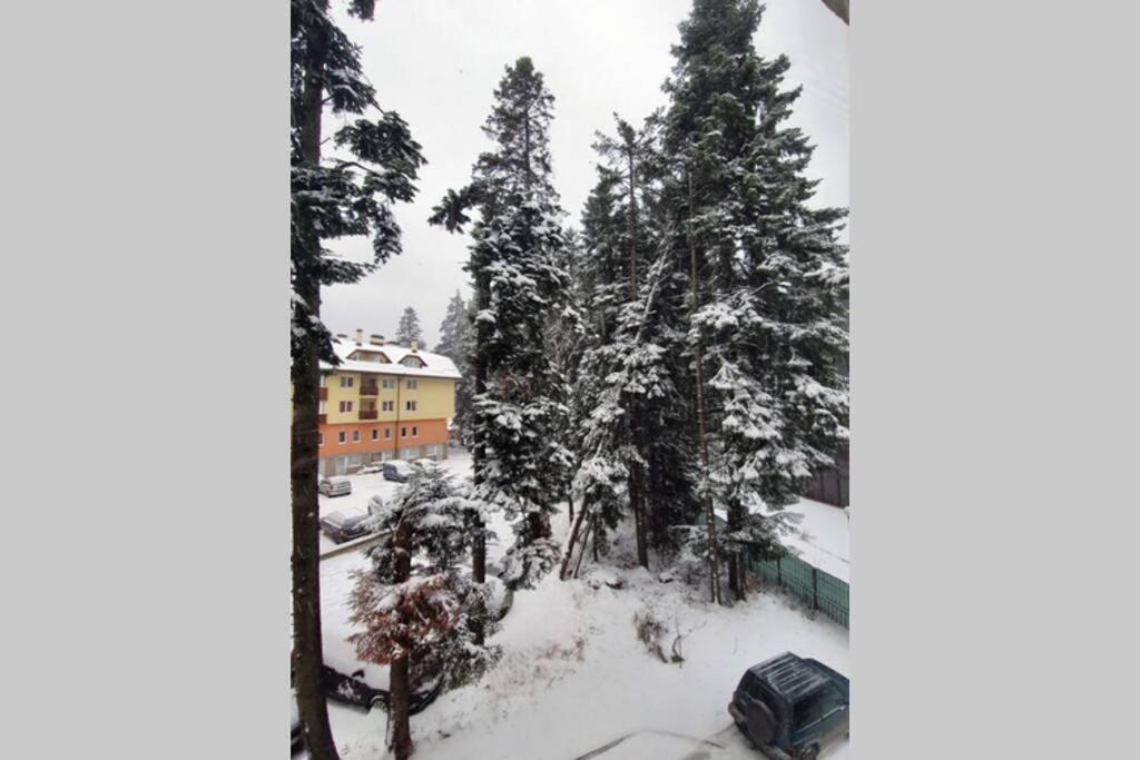Cozy One Bedroom Apartment In Iglika Complex Borovets Eksteriør billede